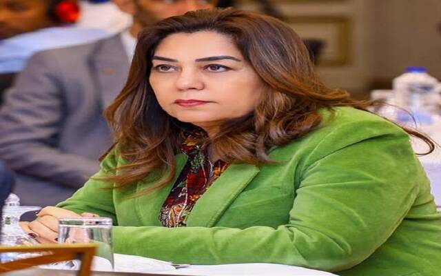 الدكتورة منال عوض وزيرة التنمية المحلية والبيئة