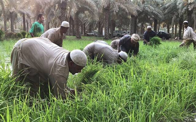 الزراعة المصرية تطبق منظومة كارت الفلاح في أسيوط