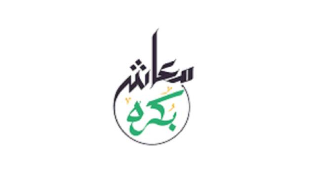 تعرف على تفاصيل وثيقة "معاش بكرة" بالدولار للمصريين في الخارج