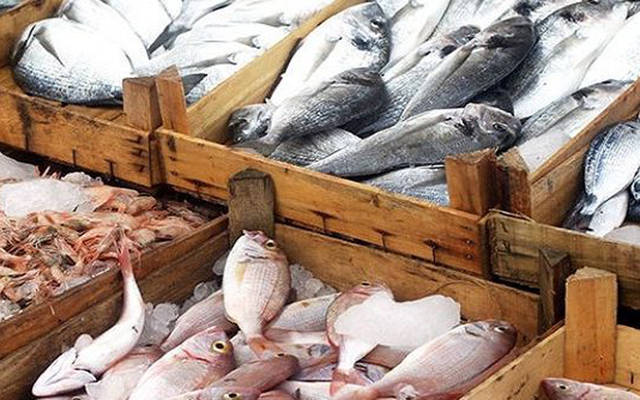 الفلاحة التونسية: نمو قيمة صادرات الصيد البحري 40% بنهاية يوليو